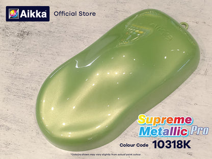 SPM PRO 2/3- PEINTURE SUPREME METALLIC PRO AIKKA - 250 couleurs